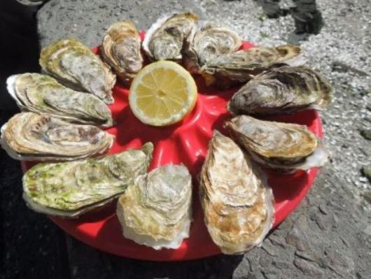 克洛塞里森斯酒店 Sens-de-Bretagne 外观 照片